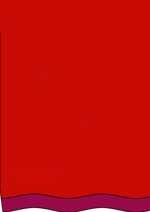 Right Curtain - Replace